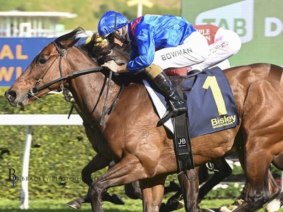 Lost And Running set for Nature Strip Stakes Image 1